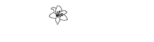 amarillis_logo amarillis_logo